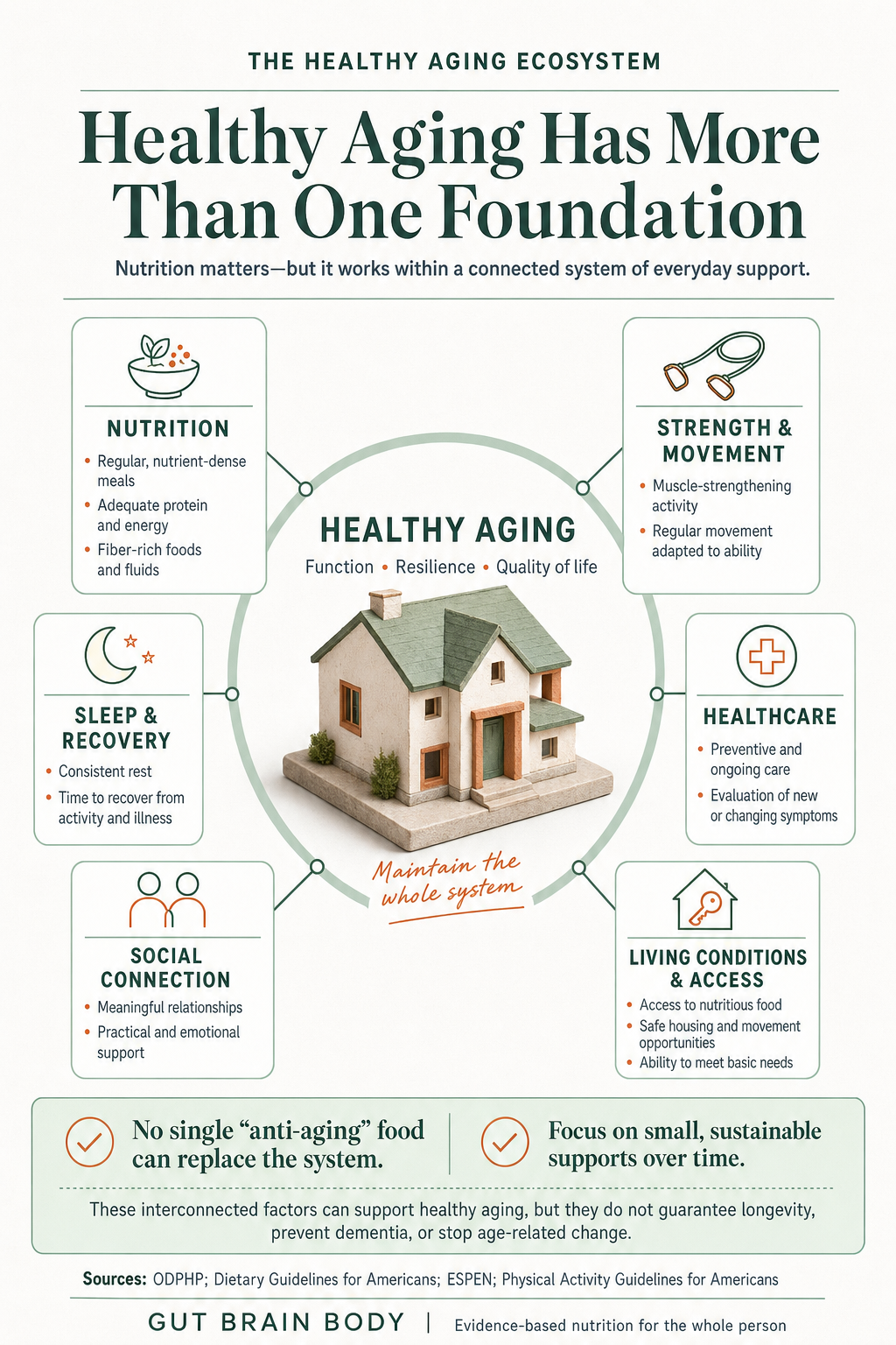 Educational infographic for Gut Brain Body article