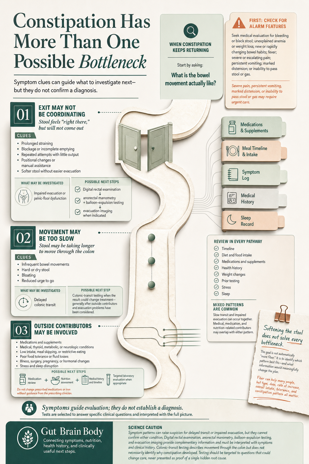 Educational infographic for Gut Brain Body article
